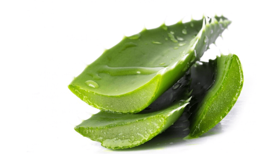 گیاه جاودانگی-خواص آلوئه ورا برای پوست