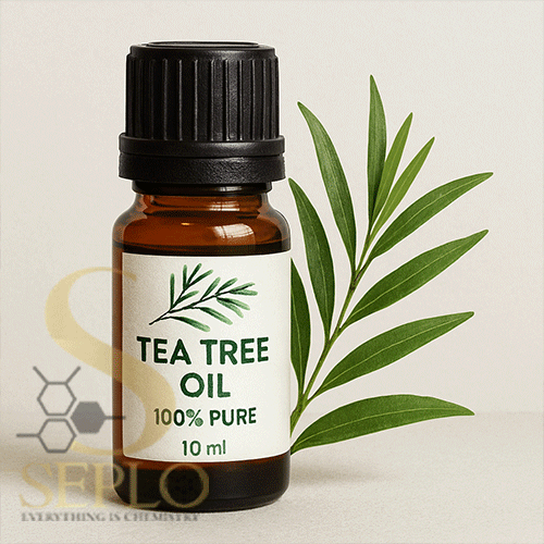 درخت-چای روغن درخت چای